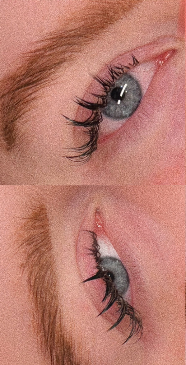 All Things Wispy Webinar – Online Lash Styling Workshop MODULE: 1 - 6