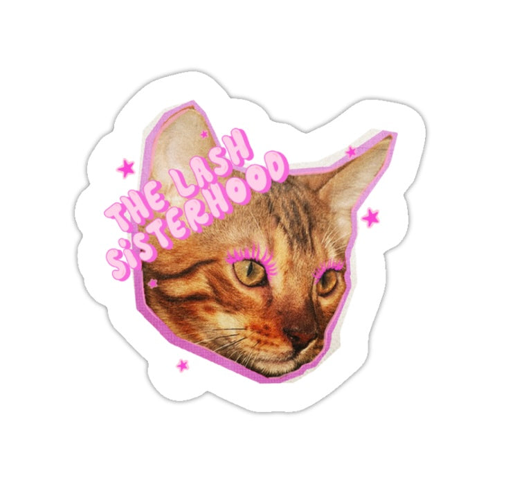 Lash Sisterhood
 - LASH ARTIST/TECH STICKERS